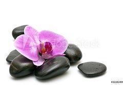 Fototapeta papr 184 x 128, 32282499 - Pink orchid and zen Stones on a white background - Rov orchidej a zen kameny na blm pozad