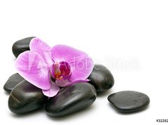 Samolepka flie 270 x 200  Pink orchid and zen Stones on a white background, 270 x 200 cm