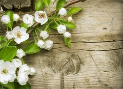 Fototapeta100 x 73  Spring Blossom over wooden background, 100 x 73 cm