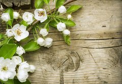 Fototapeta184 x 128  Spring Blossom over wooden background, 184 x 128 cm