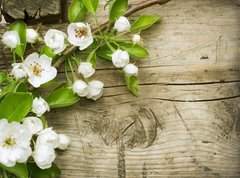 Samolepka flie 270 x 200, 32351313 - Spring Blossom over wooden background
