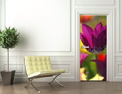 Samolepka na dvee flie 90 x 220, 32429216 - Spring beauty