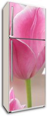 Samolepka na lednici flie 80 x 200  Pink tulips close up, 80 x 200 cm