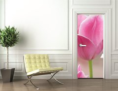 Samolepka na dvee flie 90 x 220, 32429318 - Pink tulips close up