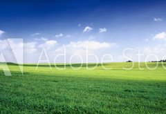 Fototapeta145 x 100  russia summer landscape  green fileds, the blue sky and white c, 145 x 100 cm