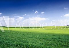 Fototapeta papr 184 x 128, 3256956 - russia summer landscape - green fileds, the blue sky and white c