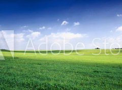 Fototapeta360 x 266  russia summer landscape  green fileds, the blue sky and white c, 360 x 266 cm