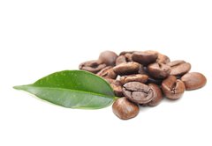 Samolepka flie 145 x 100, 32616843 - coffee grains and leaf - kvov zrna a listy