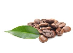Fototapeta papr 160 x 116, 32616843 - coffee grains and leaf