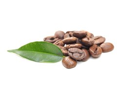 Fototapeta pltno 330 x 244, 32616843 - coffee grains and leaf
