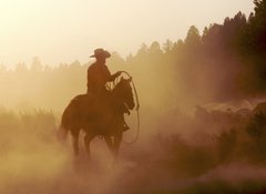 Samolepka flie 100 x 73, 3270800 - cowboy in the desert - kovboj v pouti