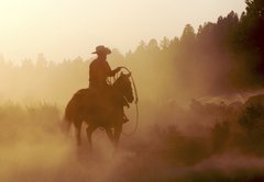 Fototapeta145 x 100  cowboy in the desert, 145 x 100 cm