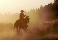 Fototapeta papr 184 x 128, 3270800 - cowboy in the desert