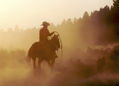 Fototapeta200 x 144  cowboy in the desert, 200 x 144 cm