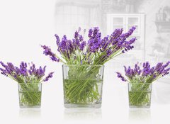 Samolepka flie 100 x 73, 32794257 - Vasi di lavanda in casa
