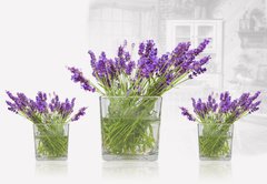 Samolepka flie 145 x 100, 32794257 - Vasi di lavanda in casa