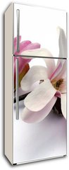 Samolepka na lednici fólie 80 x 200, 3283757 - magnolia blossom - květ magnólie