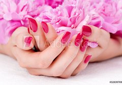Fototapeta184 x 128  Woman cupped hands with manicure holding a pink flower, 184 x 128 cm