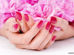 Fototapeta360 x 266  Woman cupped hands with manicure holding a pink flower, 360 x 266 cm