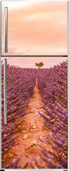 Samolepka na lednici fólie 80 x 200, 328521401 - Dramatic sunset landscape. Tree in lavender field at sunset in Provence, France