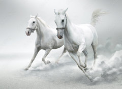 Samolepka flie 100 x 73, 32884228 - White horses - Bl kon