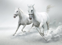 Samolepka flie 200 x 144, 32884228 - White horses - Bl kon