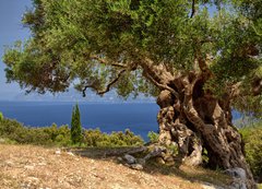 Samolepka flie 200 x 144, 33058349 - Griechische Inseln - eck ostrovy