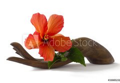 Fototapeta pltno 174 x 120, 33085231 - Red hibiscus on a wooden hand statuette