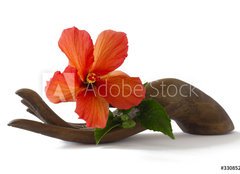 Fototapeta papr 254 x 184, 33085231 - Red hibiscus on a wooden hand statuette