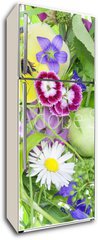 Samolepka na lednici flie 80 x 200  Abstract June plants and flowers background, 80 x 200 cm