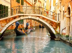 Samolepka flie 100 x 73  Venice, 100 x 73 cm