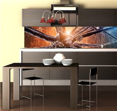 Fototapeta do kuchyn flie 260 x 60  Viral encephalitis d illustration, 260 x 60 cm
