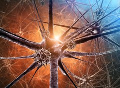Fototapeta pltno 330 x 244, 33468272 - Viral encephalitis , 3d illustration