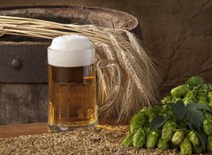 Samolepka flie 100 x 73, 33797507 - beer with barley and hops - pivo s jemenem a chmelem