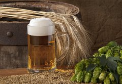 Samolepka flie 145 x 100  beer with barley and hops, 145 x 100 cm