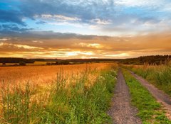 Fototapeta vliesov 100 x 73, 33827076 - A sunset photo of road and countryside