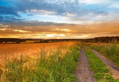 Fototapeta pltno 174 x 120, 33827076 - A sunset photo of road and countryside - Zpad slunce fotografie silnice a krajiny