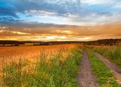 Samolepka flie 200 x 144, 33827076 - A sunset photo of road and countryside