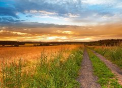 Fototapeta papr 254 x 184, 33827076 - A sunset photo of road and countryside