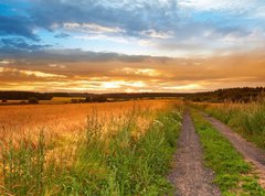 Samolepka flie 270 x 200, 33827076 - A sunset photo of road and countryside