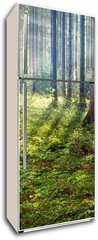 Samolepka na lednici fólie 80 x 200, 33862548 - Forest Sunset - Lesní slunce