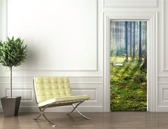 Samolepka na dvee flie 90 x 220  Forest Sunset, 90 x 220 cm