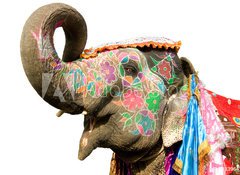 Fototapeta100 x 73  hand painted elephant profile, Jaipur, Rajasthan,India, 100 x 73 cm