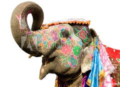Fototapeta plátno 160 x 116, 33964152 - hand painted elephant profile, Jaipur, Rajasthan,India - ručně malovaný profil slonů, Jaipur, Rajasthan, Indie