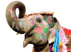 Fototapeta pltno 330 x 244, 33964152 - hand painted elephant profile, Jaipur, Rajasthan,India