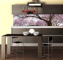 Fototapeta do kuchyně fólie 260 x 60, 34040343 - Sakura