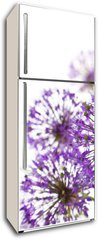 Samolepka na lednici flie 80 x 200, 34117562 - Beautiful Allium / abstract  on white