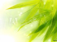 Samolepka flie 270 x 200, 34158661 - Wet bamboo leaves on white background.