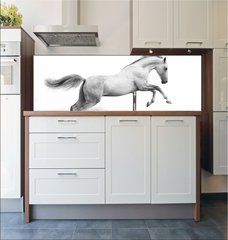 Fototapeta do kuchyn flie 180 x 60, 34235049 - silver-white stallion on black