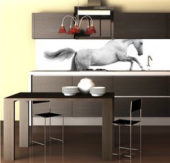 Fototapeta do kuchyn flie 260 x 60, 34235049 - silver-white stallion on black